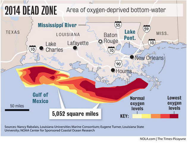 The Gulf of Mexico dead zone in 2014. Its area was approximately 5052 square miles. Graphic: NOLA.com / The Times-Picayune