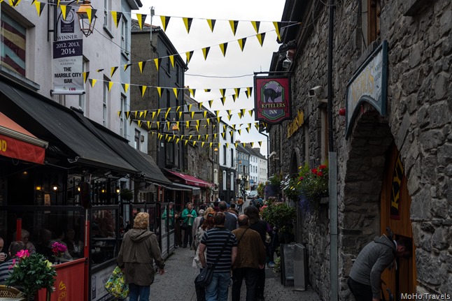 02 Kilkenny and Kilkenny Castle (12 of 35)