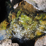 Piscina do turista - Caño Cristales - La  Macarena, Colômbia