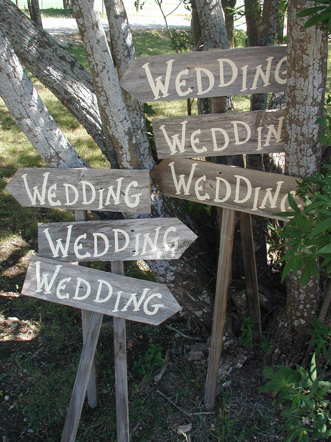 Set of 6 Rustic Wood Wedding Directional Stake Signs Western Bridal With