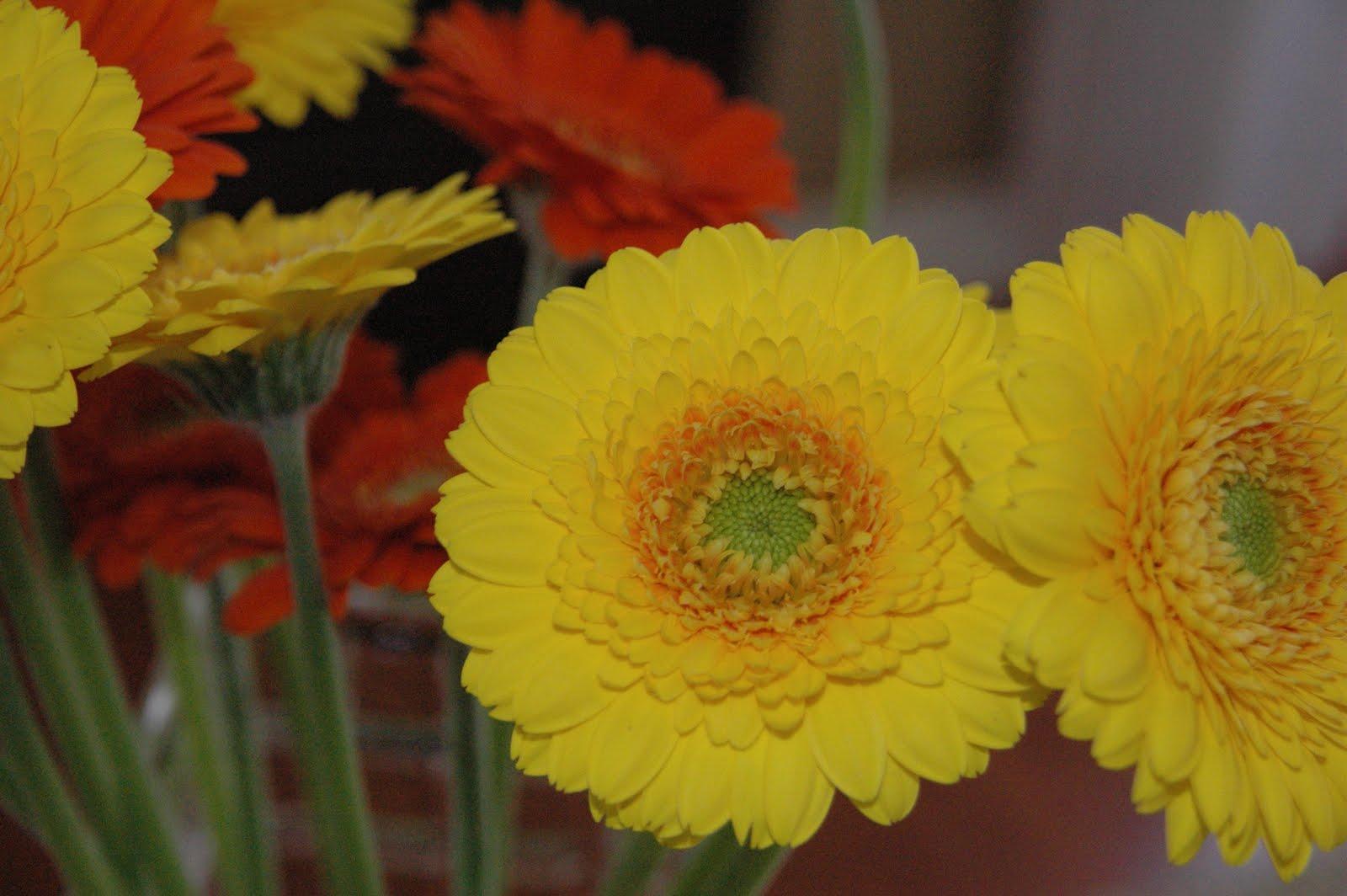  wedding flowers 