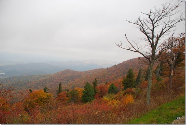 10-23-15 A Skyline Drive Shenandoah NP (82)