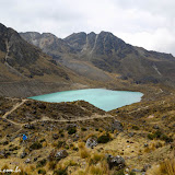Fê diminuto na Cordilheira Huaytapallana - Huancayo - Peru