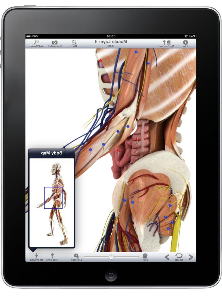 Pocket Body  Musculoskeletal  by Pocket Anatomy screenshot 3