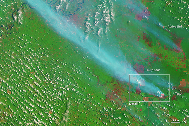 On 5 September 2015, the Operational Land Imager on the Landsat 8 satellite acquired this image of smoke billowing from fires in Jambi Province on the Indonesian island of Sumatra. The fact that the fires burned within well-defined rectangular grids suggests that these were agricultural fires intentionally set by growers. According to land-use maps published by Global Forest Watch, the fires are burning within a palm oil plantation. Photo: Joshua Stevens / NASA / USGS