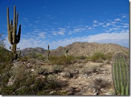 Black Canyon White Tank Park hike 044