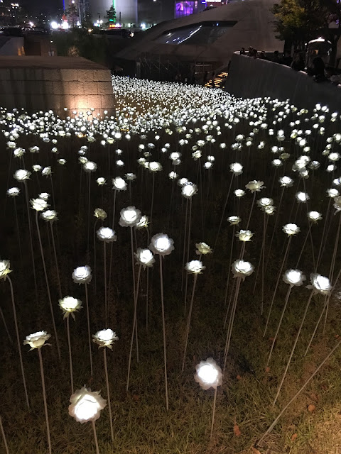 Day 2 Led Rose Garden At Ddp Dongdaemun Seoul Chichicho