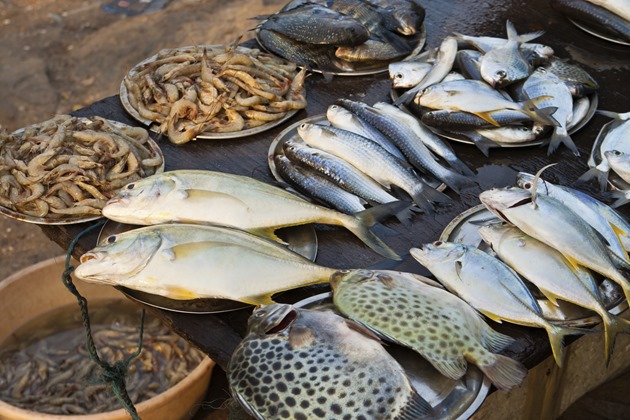 Fish market in Kerala, India