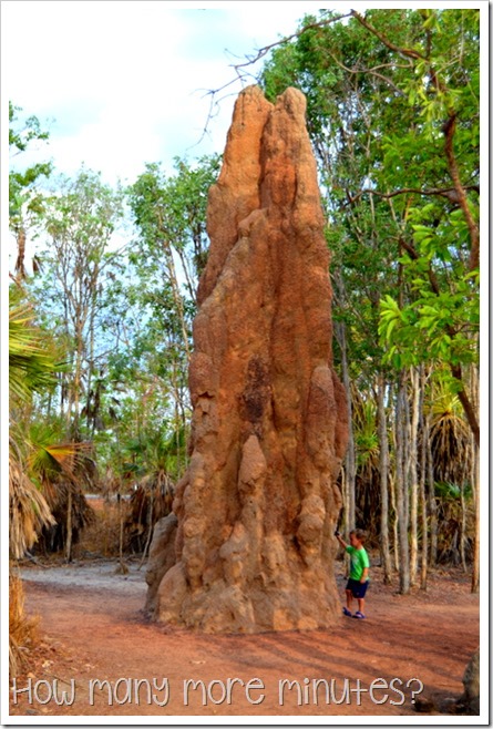 Magnetic Termite Mounds | How Many More Minutes?