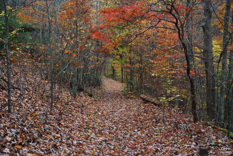 [10-31-15-Cumberland-Gap-Saddle-Hike-%255B32%255D.jpg]