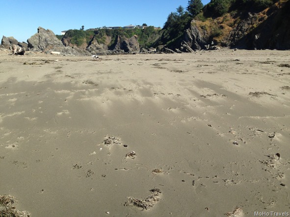 walking at Chetco Point (6 of 40)