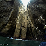 Leão Adormecido - Galápagos