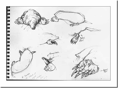 mole sketches bb