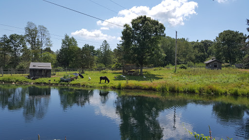 Farm «Russell Orchards», reviews and photos, 143 Argilla Rd, Ipswich, MA 01938, USA