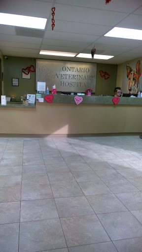 Animal Hospital «Ontario Veterinary Hospital», reviews and photos