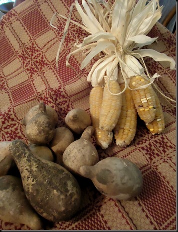 Corn and Gourds