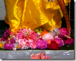 [flowers offered to Lord Rama]