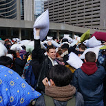 pillow fight day toronto 2015 in Toronto, Ontario, Canada