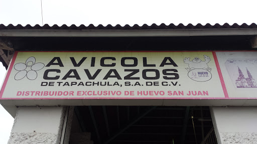 Avicola Cavazos De Tapachula SA de CV, Octava Avenida Norte Esquina 15 pte S/N, Centro, 30700 Tapachula de Córdova y Ordoñez, Chis., México, Comercio | CHIS