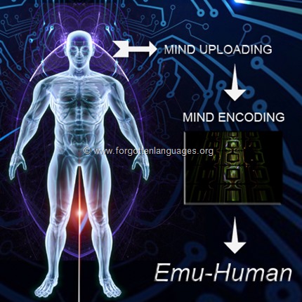 Mind uploading and enconding in an emulated human