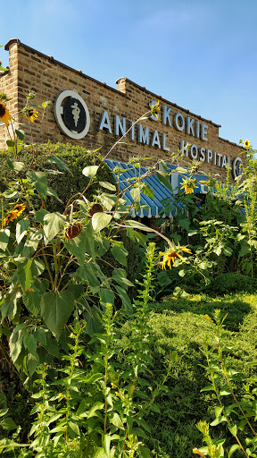 Veterinarian «Skokie Animal Hospital», reviews and photos