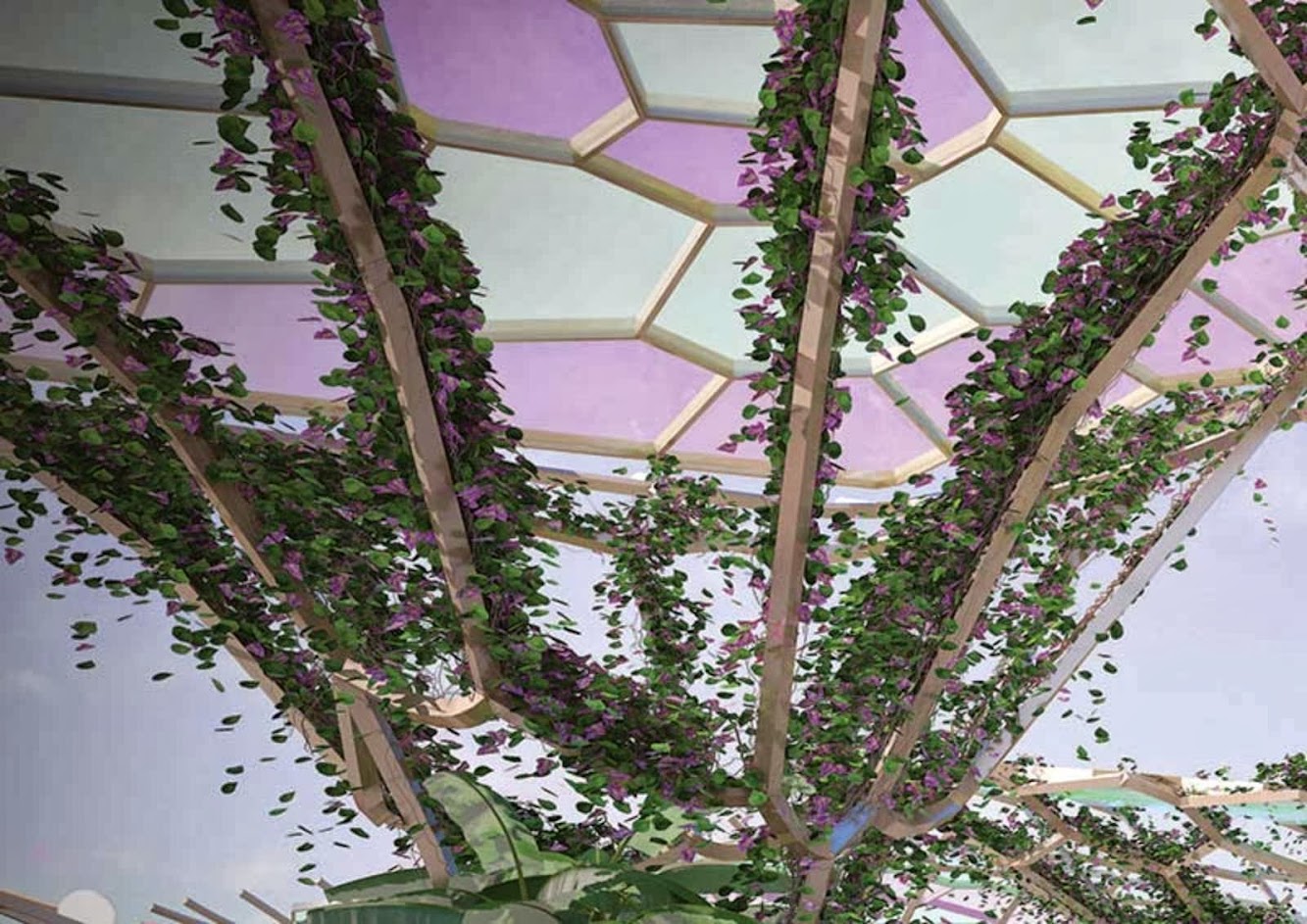 Arm Architecture wins the Gold Coast Cultural Precinct