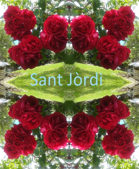 Sant Jòrdi 2015