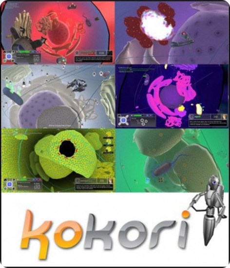 kokori1