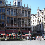 grand place in brussels in Brussels, Belgium 