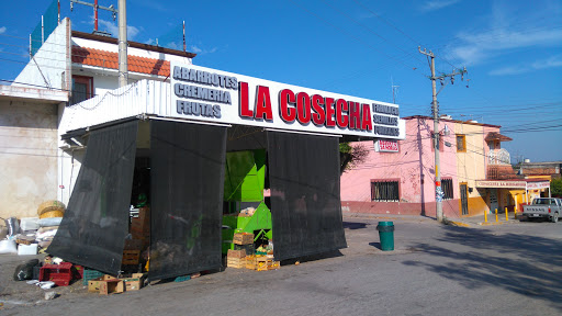 Abarrotes Y Semillas La Cosecha, Plaza Principal J S.L.P., De Guadalupe, 79680 San Ciro de Acosta, México, Tienda de barrio | SLP