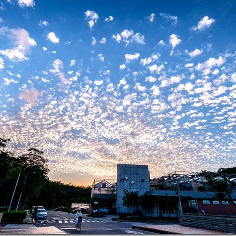 2015.09 雪花雲(正名:高積雲)