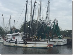 Cumberland Isl Anch Return Trip 2015-11-03 022