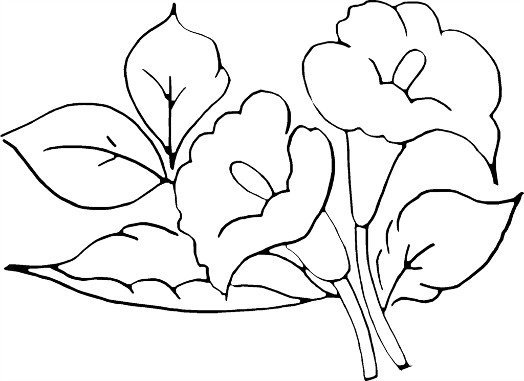 [flores_crian%25C3%25A7as_adultos_desenhos_para_pintar_colorir_imprimir%2520%25282%2529%255B2%255D.png]