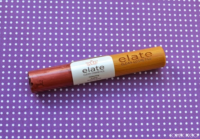 Elate Clean Cosmetics Moisturizing Lip Gloss in Charm Review Swatch