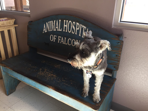 Veterinarian «Animal Hospital of Falcon», reviews and photos