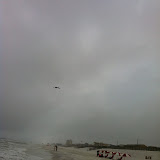 A pelican flying over the Gulf in Destin FL 03232012b