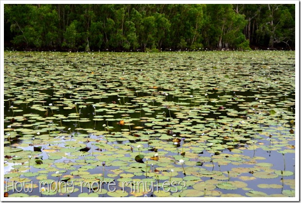 How Many More Minutes? | Keatings Lagoon, QLD