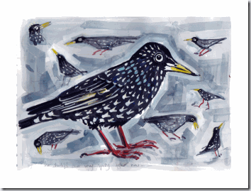 starling