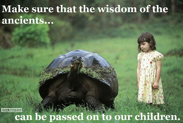 Image of Children's Wisdom Quotes