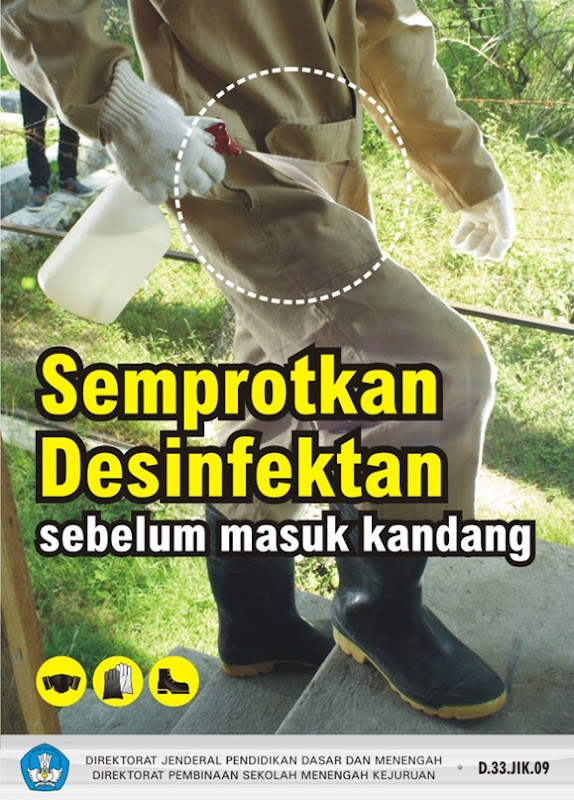 Semprotkan desinfektan sebelum masuk kandang