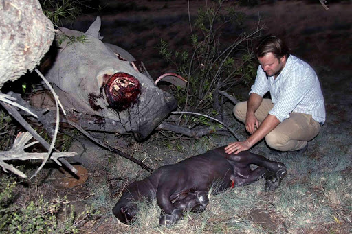 TRAGIC DISCOVERY: Ian Buchanan, whose family own the Mount Camdeboo Private Nature Reserve near Graaff-Reinet, was devastated when two more rhinos were slaughtered this week Picture: SUPPLIED