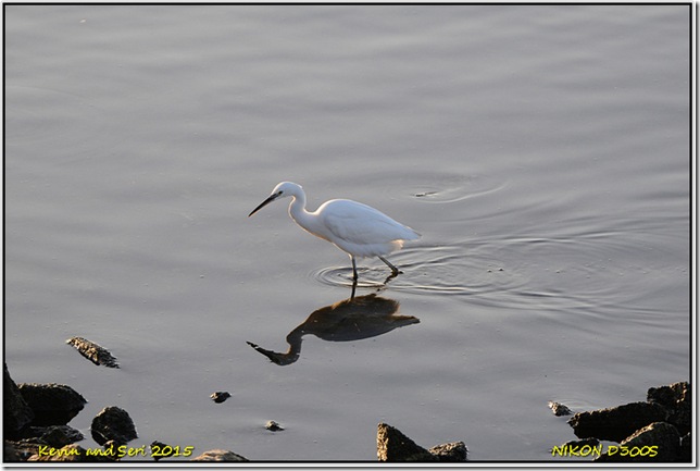 Draycote Waters - October