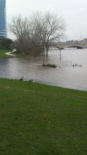 Tourist Attraction «Fish Ladder Park Grand Rapids», reviews and photos, 560 Front Ave NW, Grand Rapids, MI 49504, USA