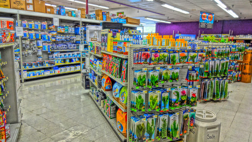 Pet Supply Store «Pet Club San Jose», reviews and photos, 5625 Snell Ave, San Jose, CA 95123, USA