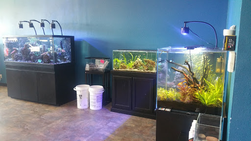 Tropical Fish Store «Aquatic Treasures», reviews and photos, 2533-A Vandalia St, Collinsville, IL 62234, USA