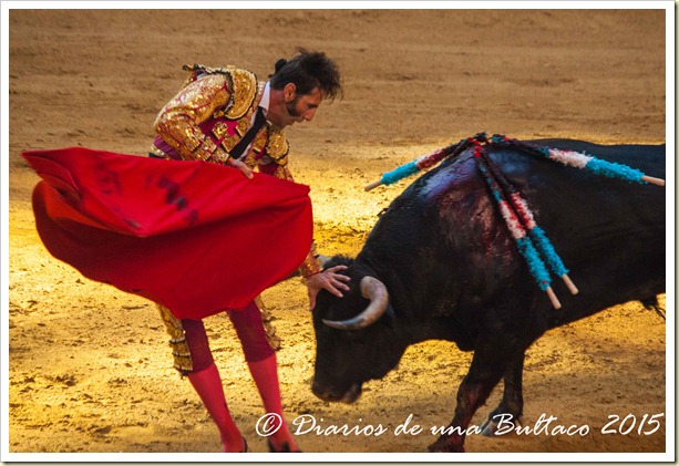 Toros1-9679