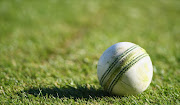 The T20GL was to have been played in November and December last year but was postponed‚ CSA said at the time‚ because it would lose too much money.