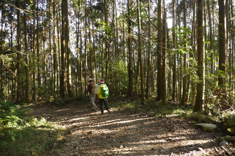 2014_0118 鳶嘴山西北稜→大崠山來回_081