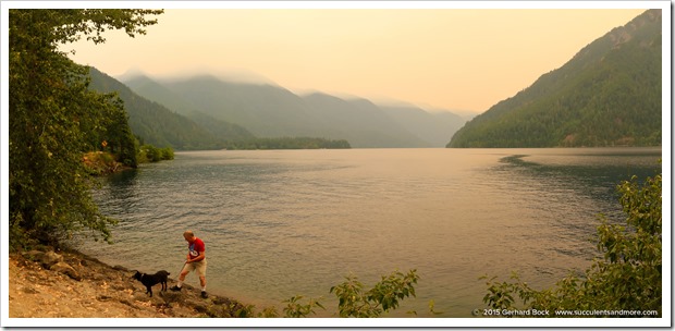 150705_OlympicPeninsula_LakeCrescent_pano