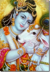 [Lord Krishna with cow]